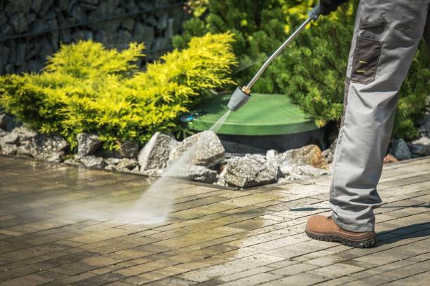 Best Roof Washing  in Weston Lakes, TX